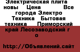 Электрическая плита,  новы  › Цена ­ 4 000 - Все города Электро-Техника » Бытовая техника   . Приморский край,Лесозаводский г. о. 